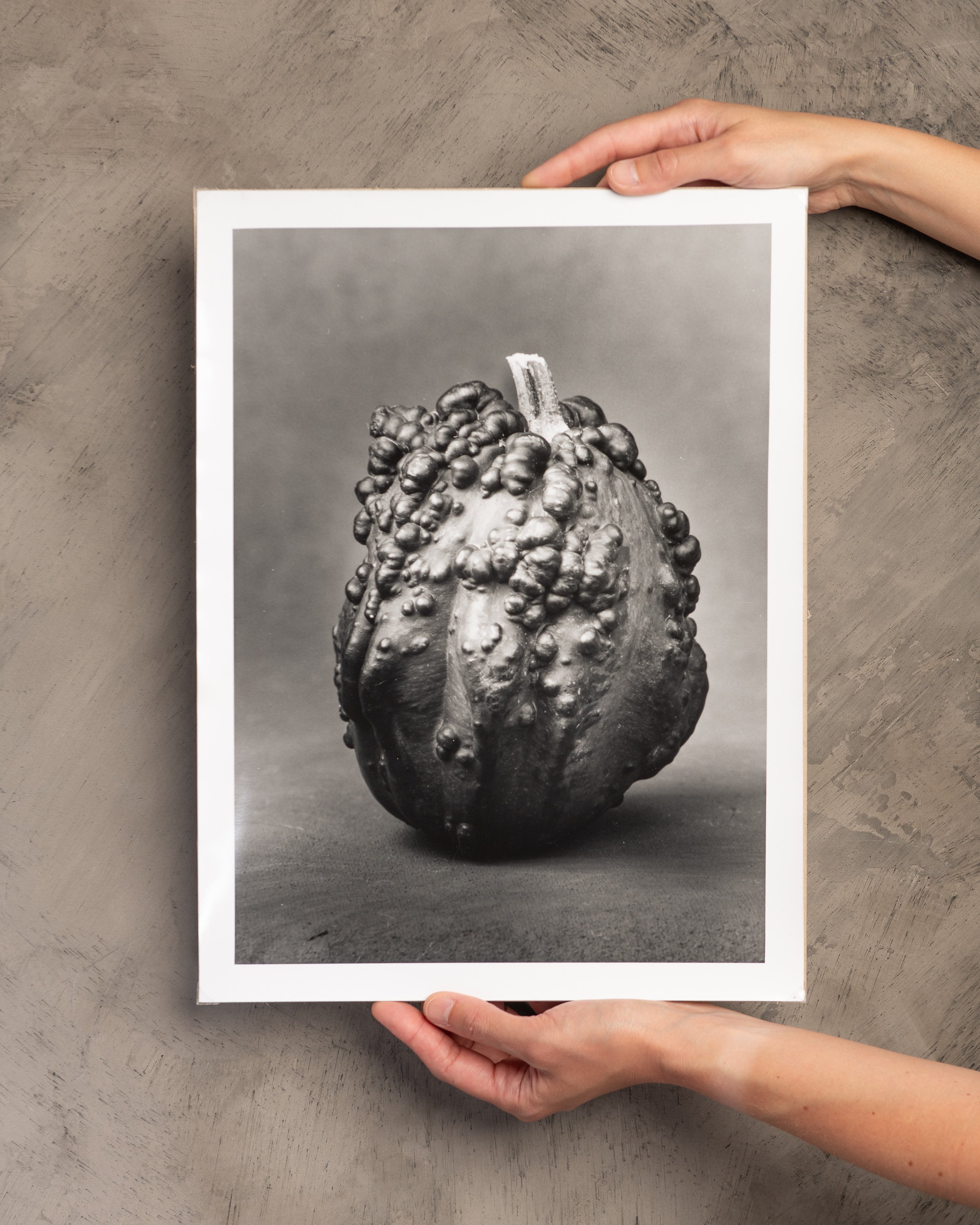 Still Life — Jose Esteve Photography